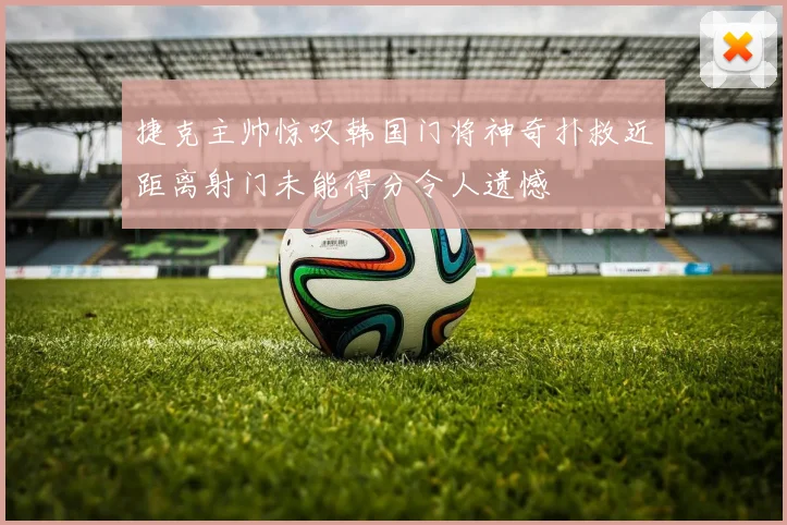捷克主帅惊叹韩国门将神奇扑救近距离射门未能得分令人遗憾